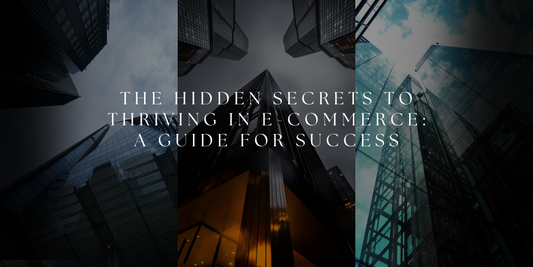 The Hidden Secrets to Thriving in E-Commerce: A Guide for Success